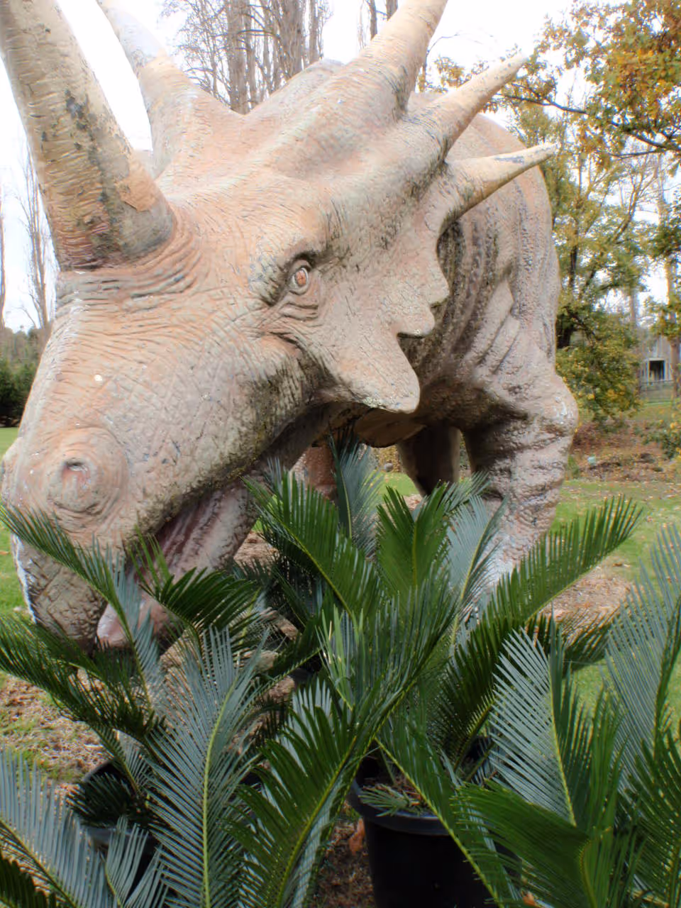 Kilby goes Jurrasic Park