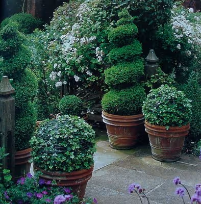 What's what with pots