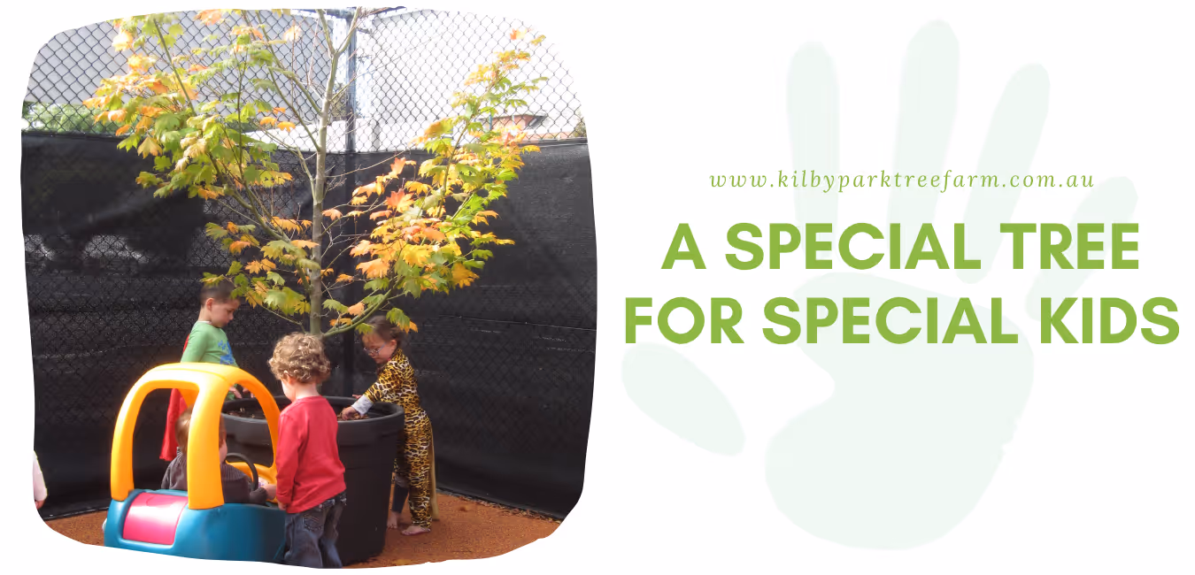 A special tree for special kids