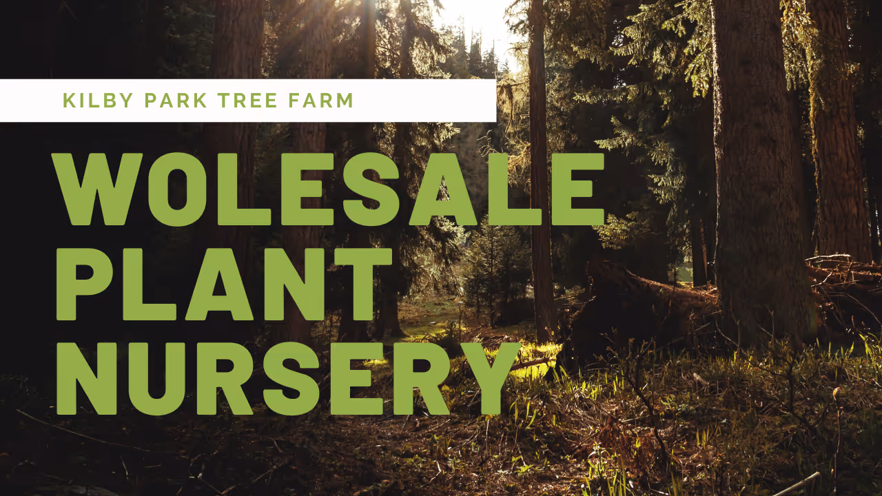 Wholesale Plant Nursery Melbourne