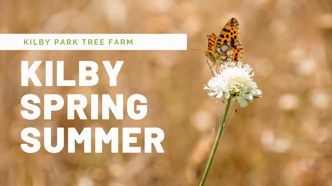  Kilby Spring Summer 2019