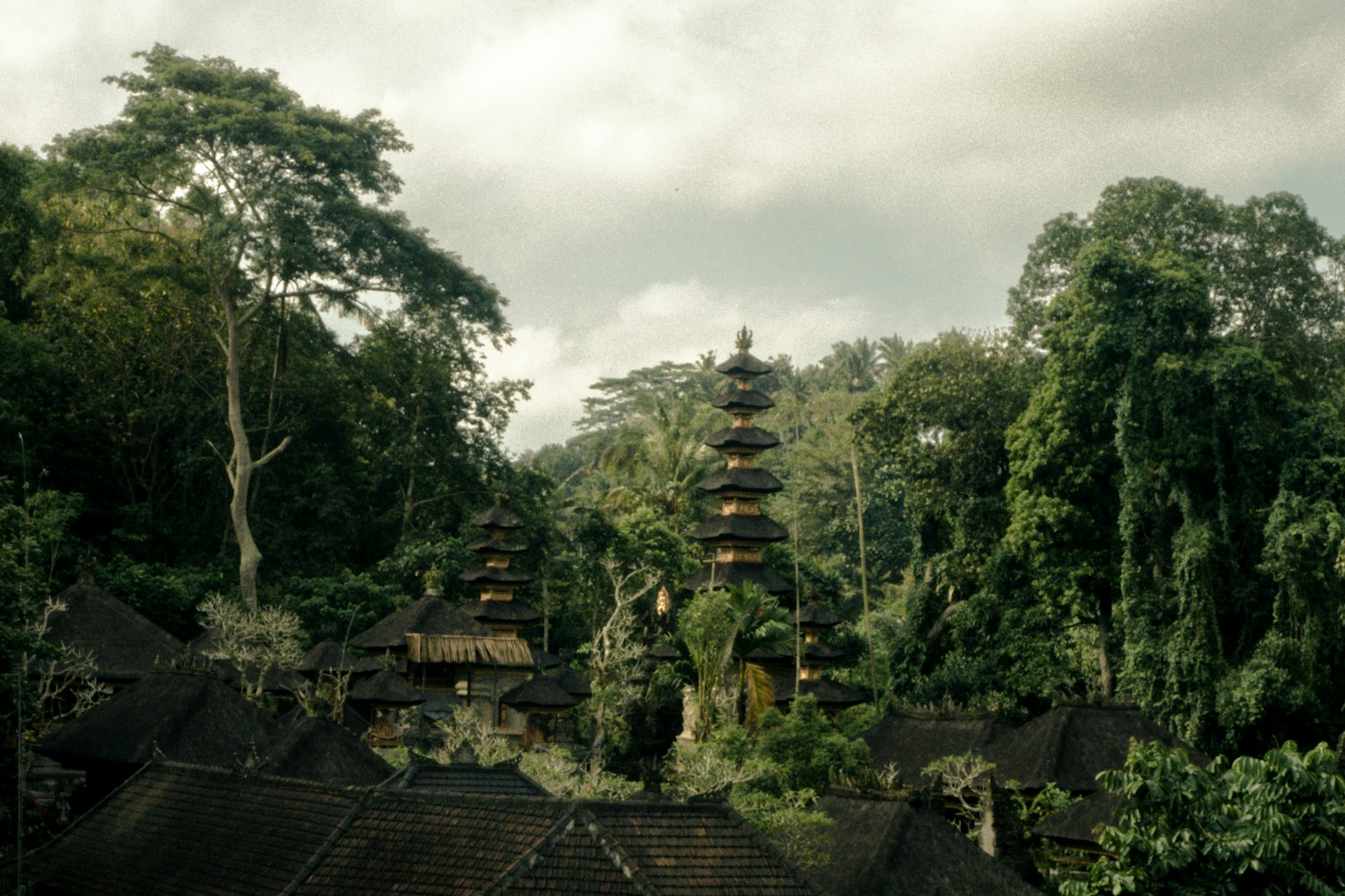 The Best Hotels in Ubud & Surrounds (2026)