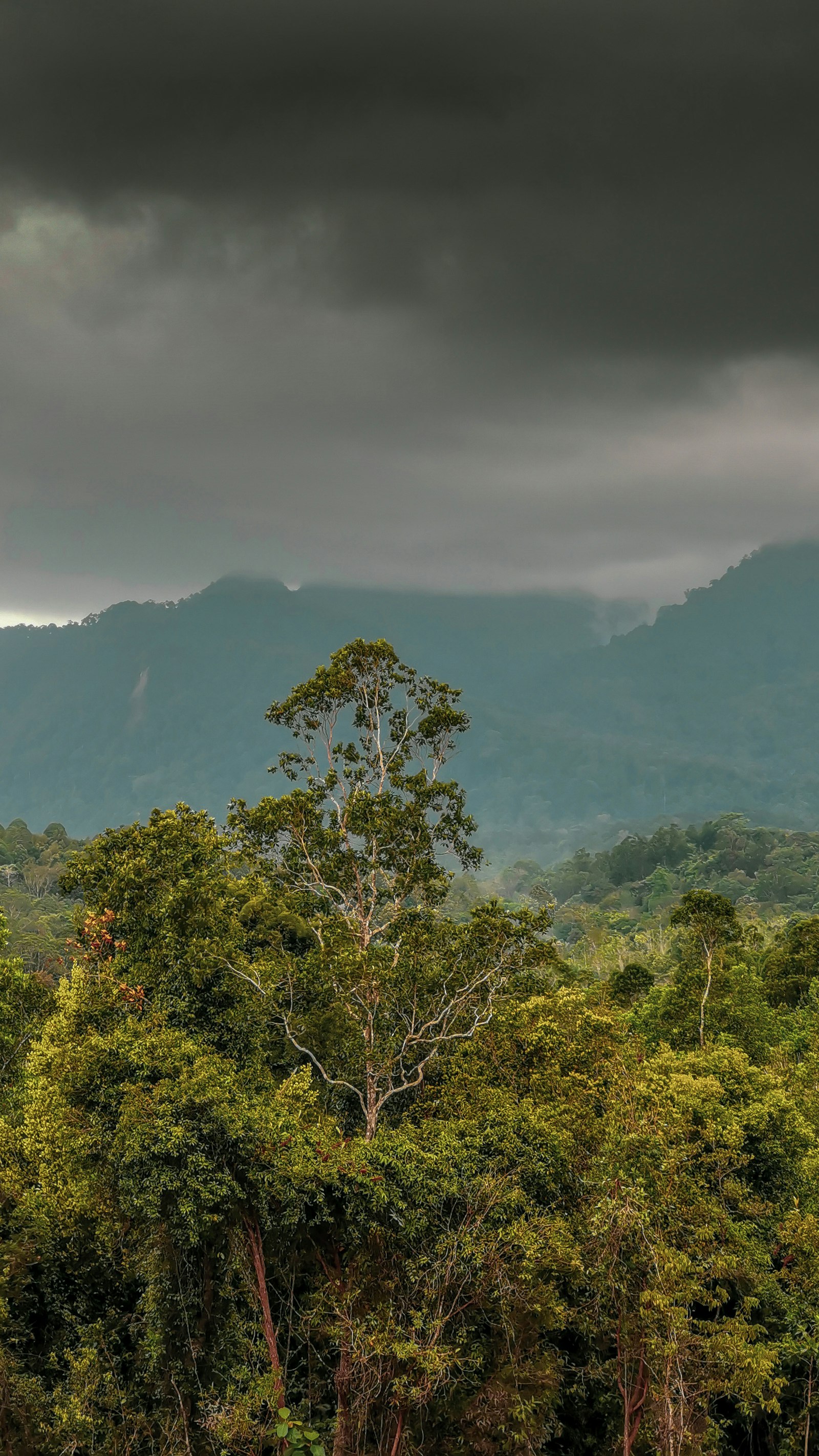 The Best Hotels in Malaysian Borneo: Sabah & Sarawak (2026)