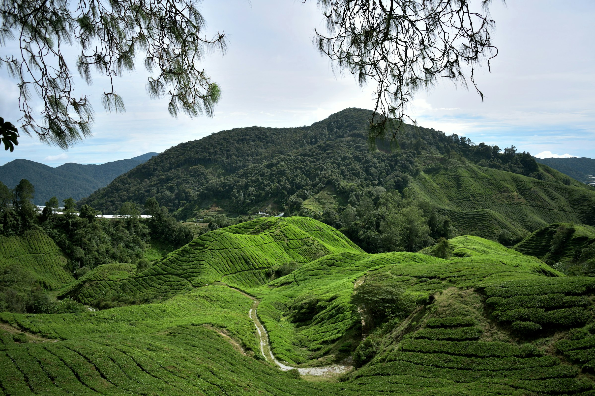 Malaysia's Hideaway Resorts: Pangkor Laut, the Banjaran & Beyond (2026)