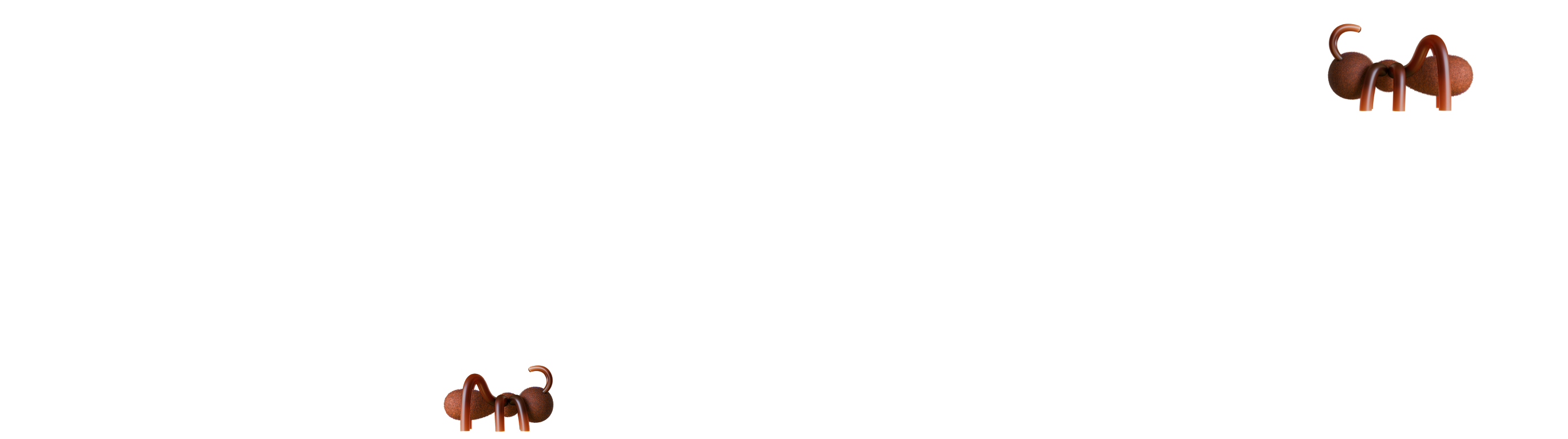 Word 'Ginko' in bold white letters with two small brown ants crawling on the letters.