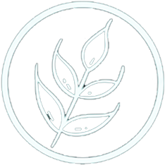 Gluten