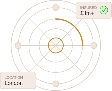 Radar chart with markers for insured amount £3m+ and location London highlighted.