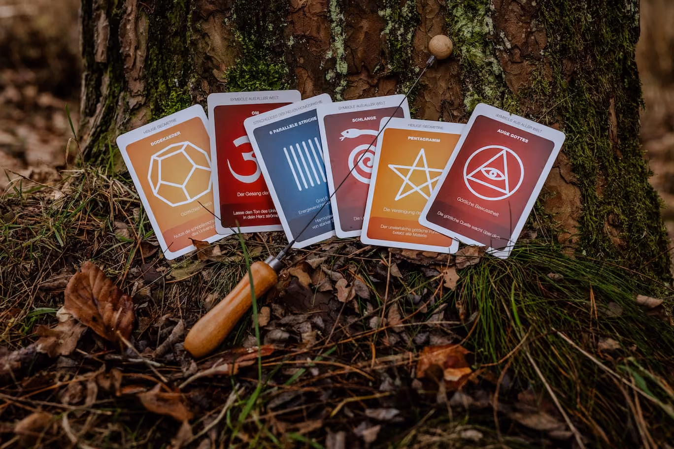 Symbolkarten der SIBRA-Methode mit Einhandrute am Baumstamm