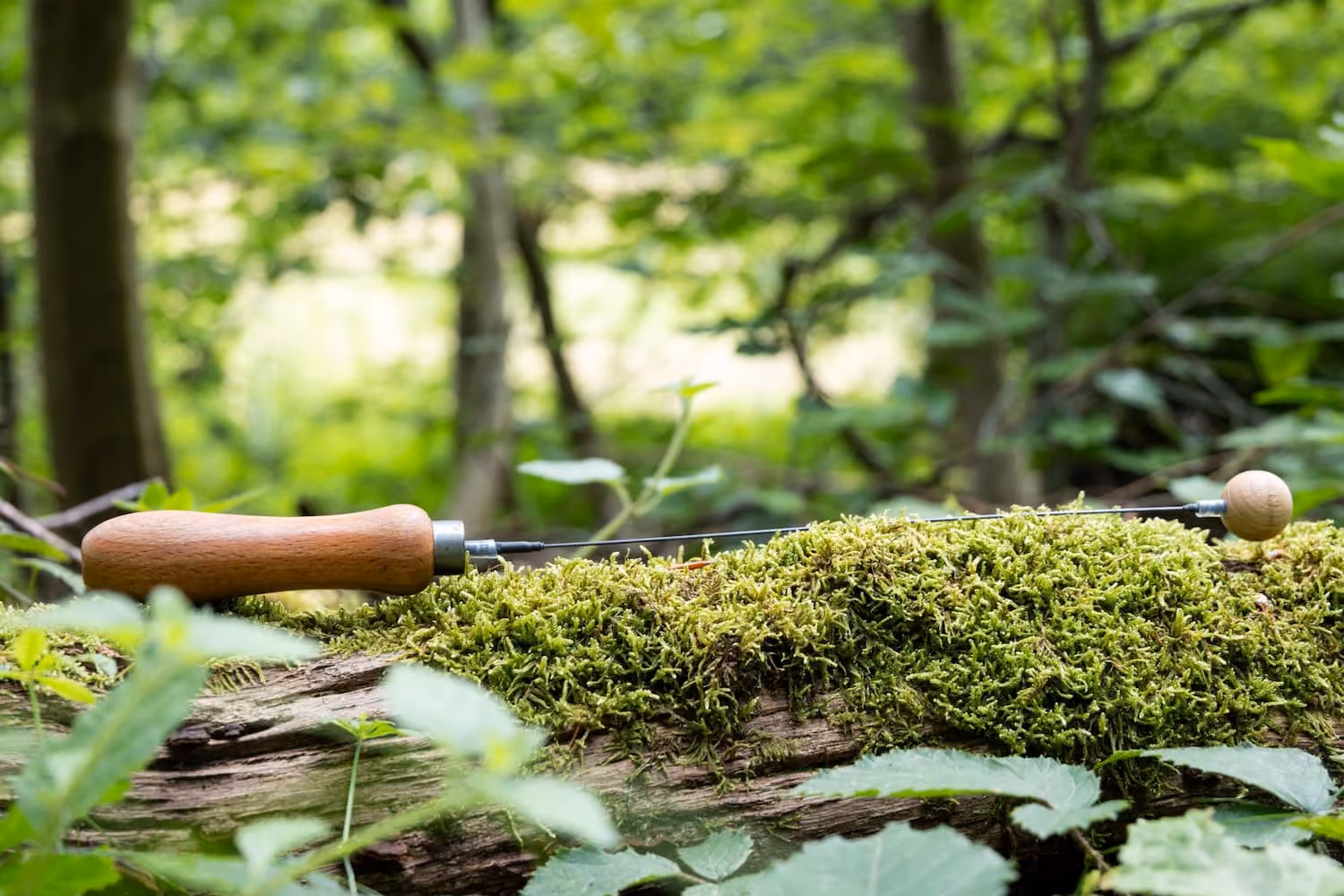 Ein Messer mit einem Holzgriff liegt auf moosbedecktem Holz im Wald.