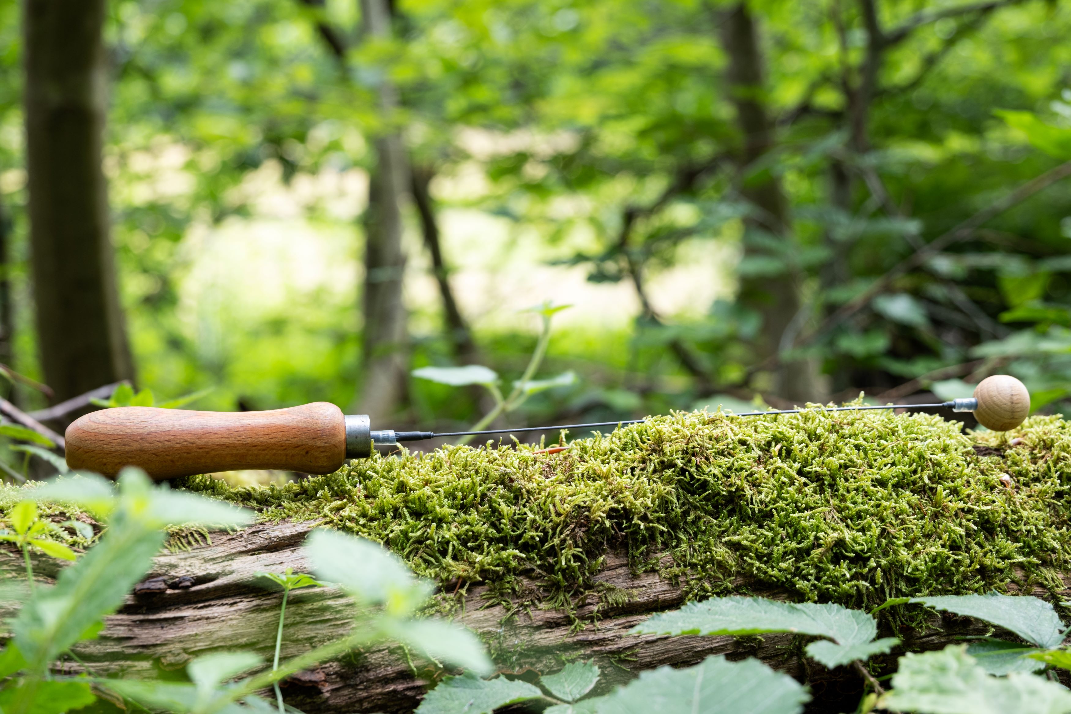 Ein Holzgriff und ein Metallstab mit einer Holzperle am Ende liegen auf einem mit Moos bedeckten Baumstamm in einem grünen Wald.