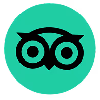 Black owl-shaped logo with round eyes on a green circular background.