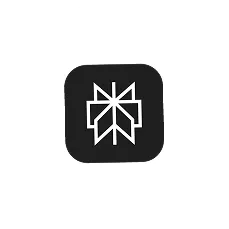 White symmetrical star-like geometric pattern inside a black rounded square on a white circular background.