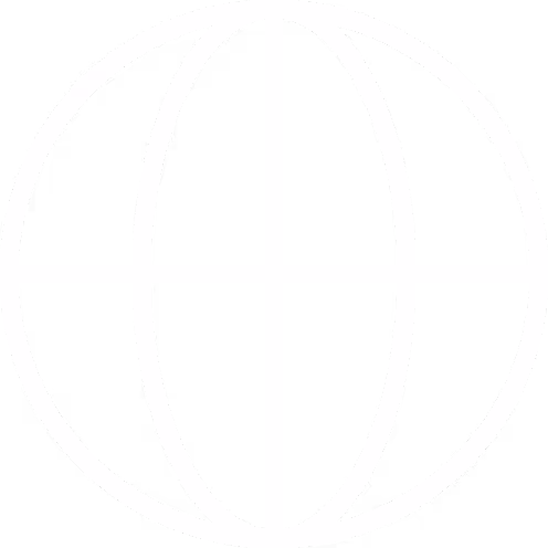 White globe icon with vertical and horizontal lines on black background.