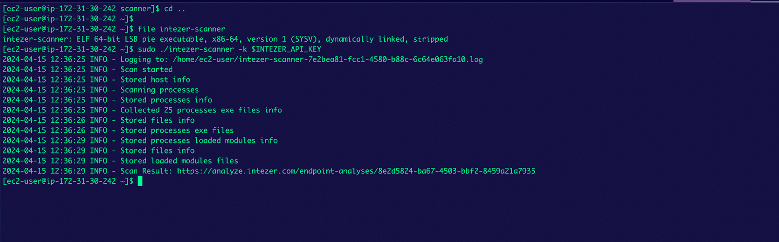 linux memory forensics analysis tool