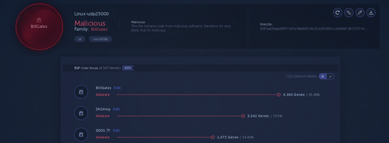 DDoS botnets