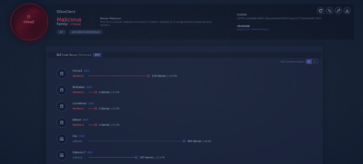 DDoS botnets
