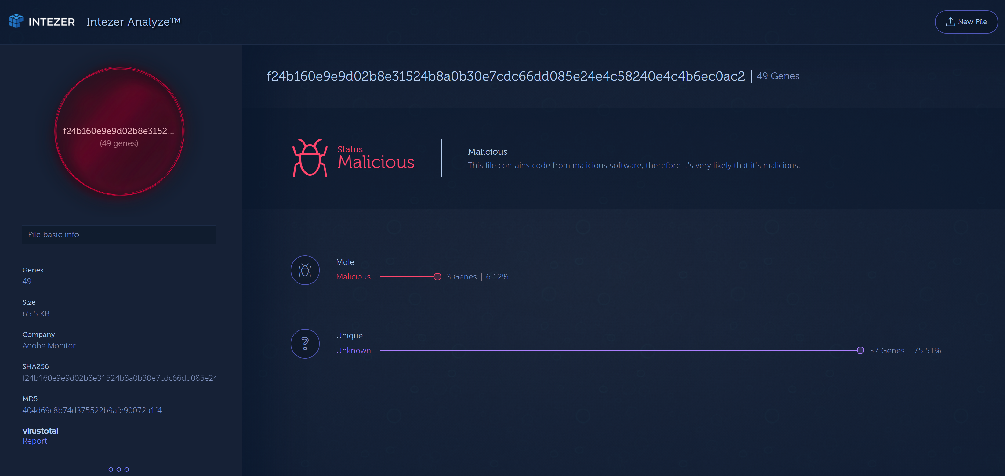 Kaspersky Labs