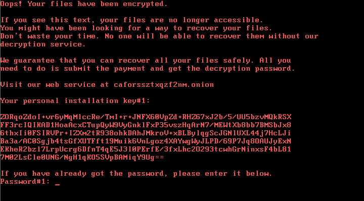 Large scale cyber attacks