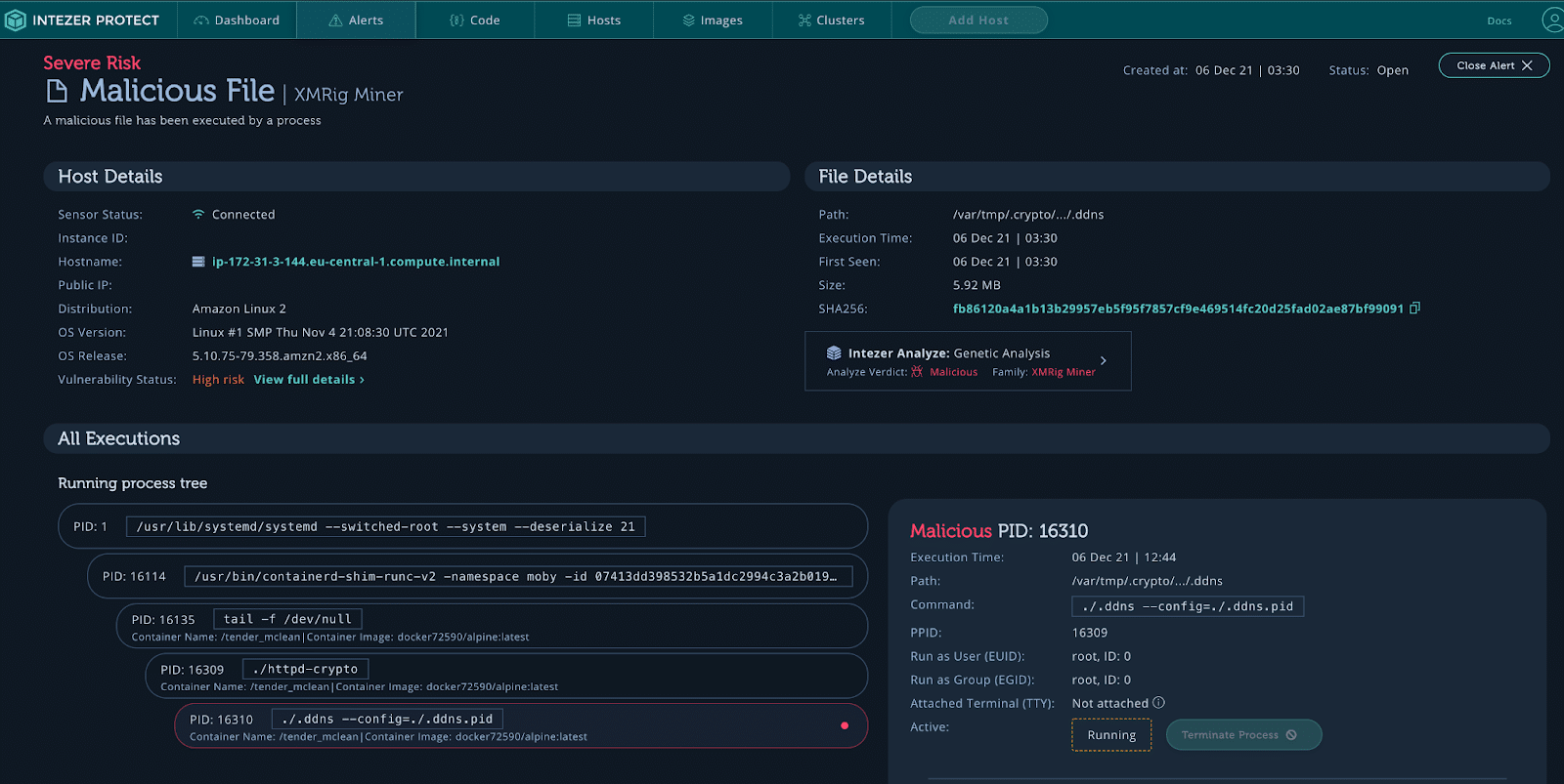honeypot XMRig Miner alert