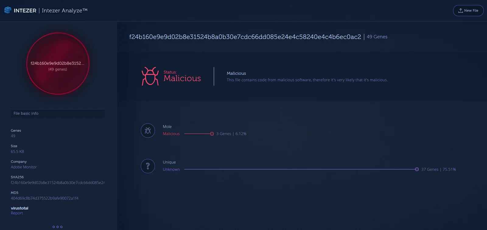 Kaspersky Labs