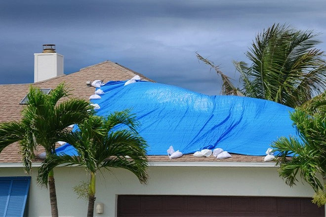 Nailed It: Covering Roof Damage the Right Way