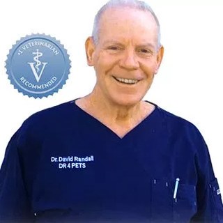 Dr. David Randall, Treasurer and IFR pilot at CFTAR Naples Florida