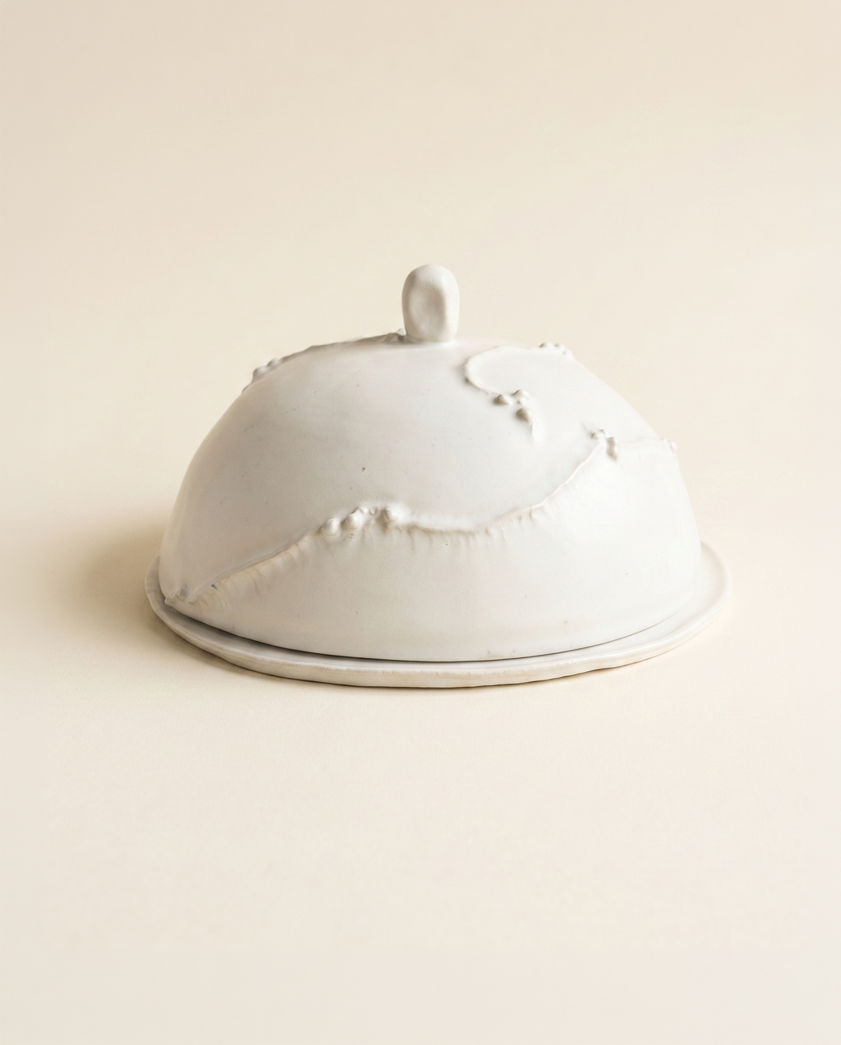 Dome Cake / Cheese Plate