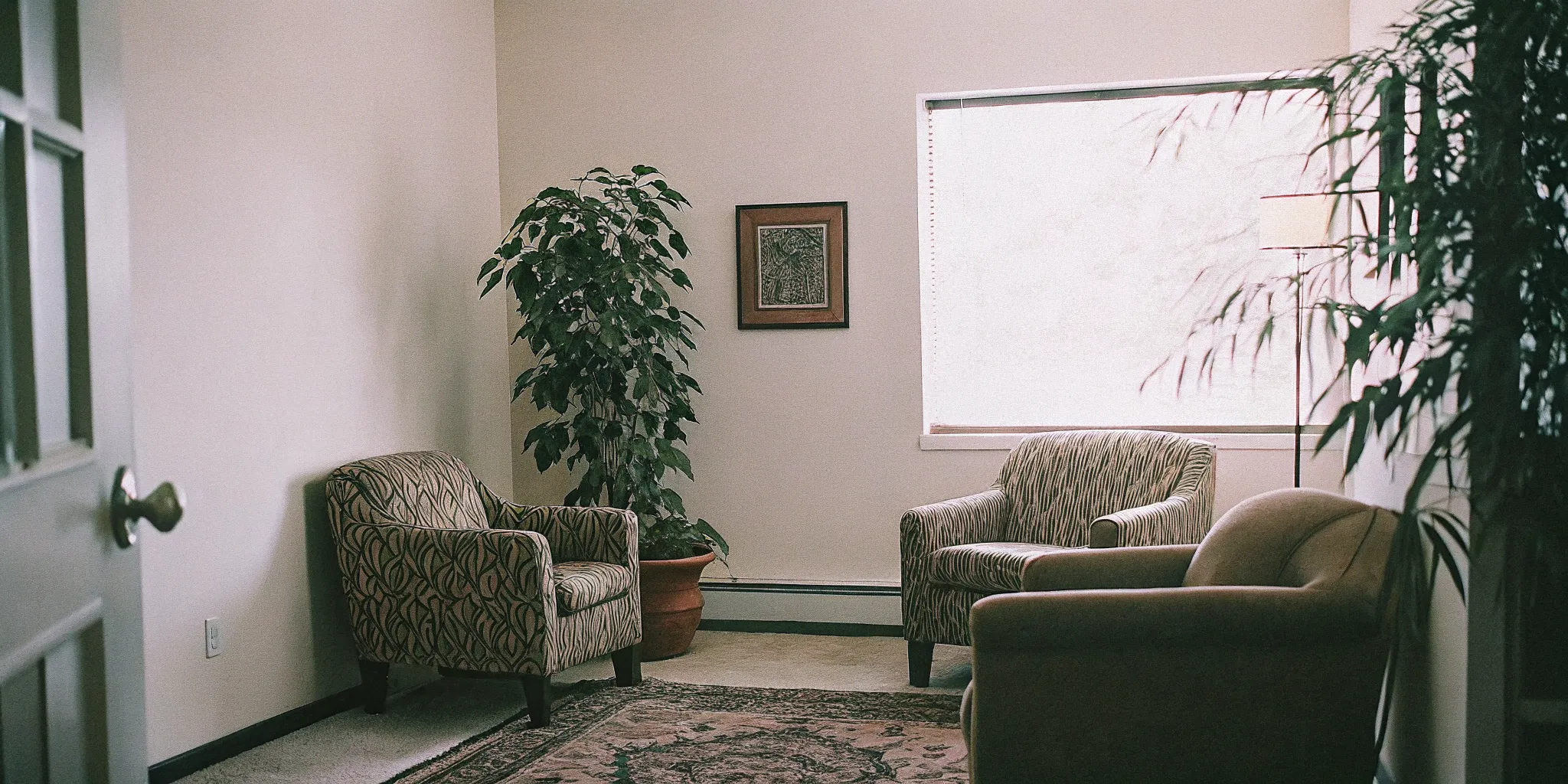 Comfortable therapy office setting in Fairfax, Virginia for immigration psychological evaluation consultations
