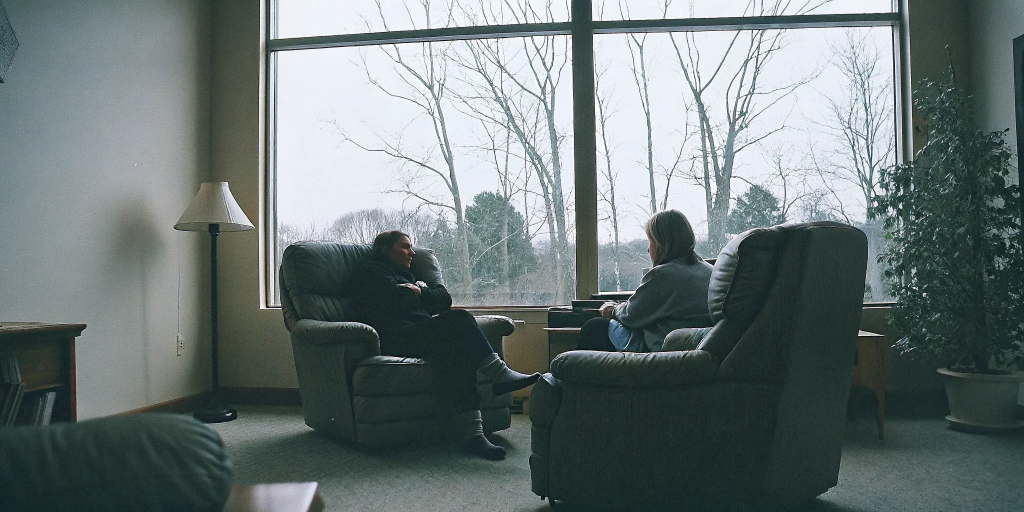 A licensed psychologist meeting with a client in a warm therapy office in Fairfax, Virginia