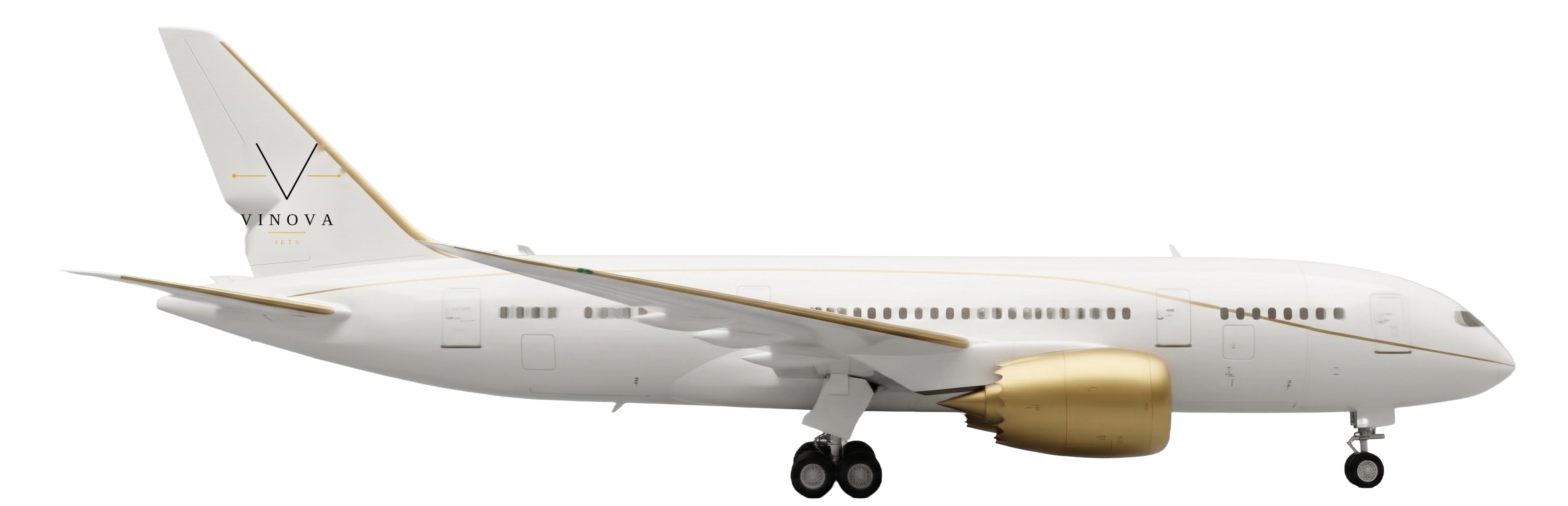 VIP Airliner