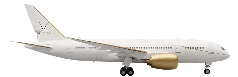 VIP Airliner