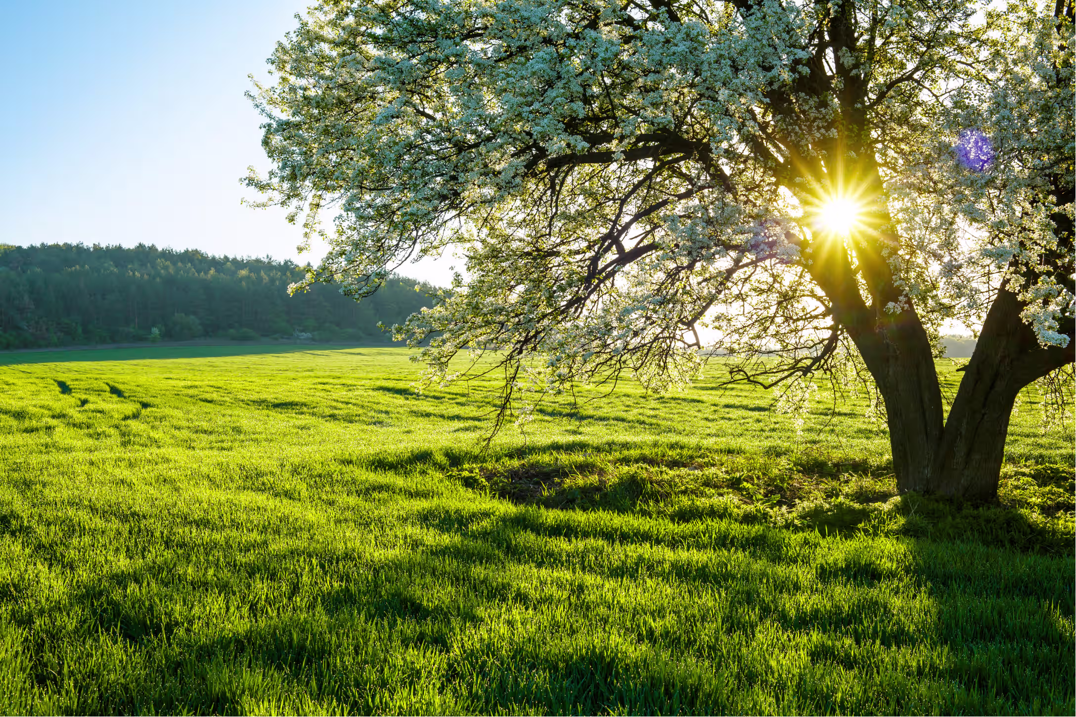 Frühjahr in der Wetterau – wann sich ein Besuch besonders lohnt