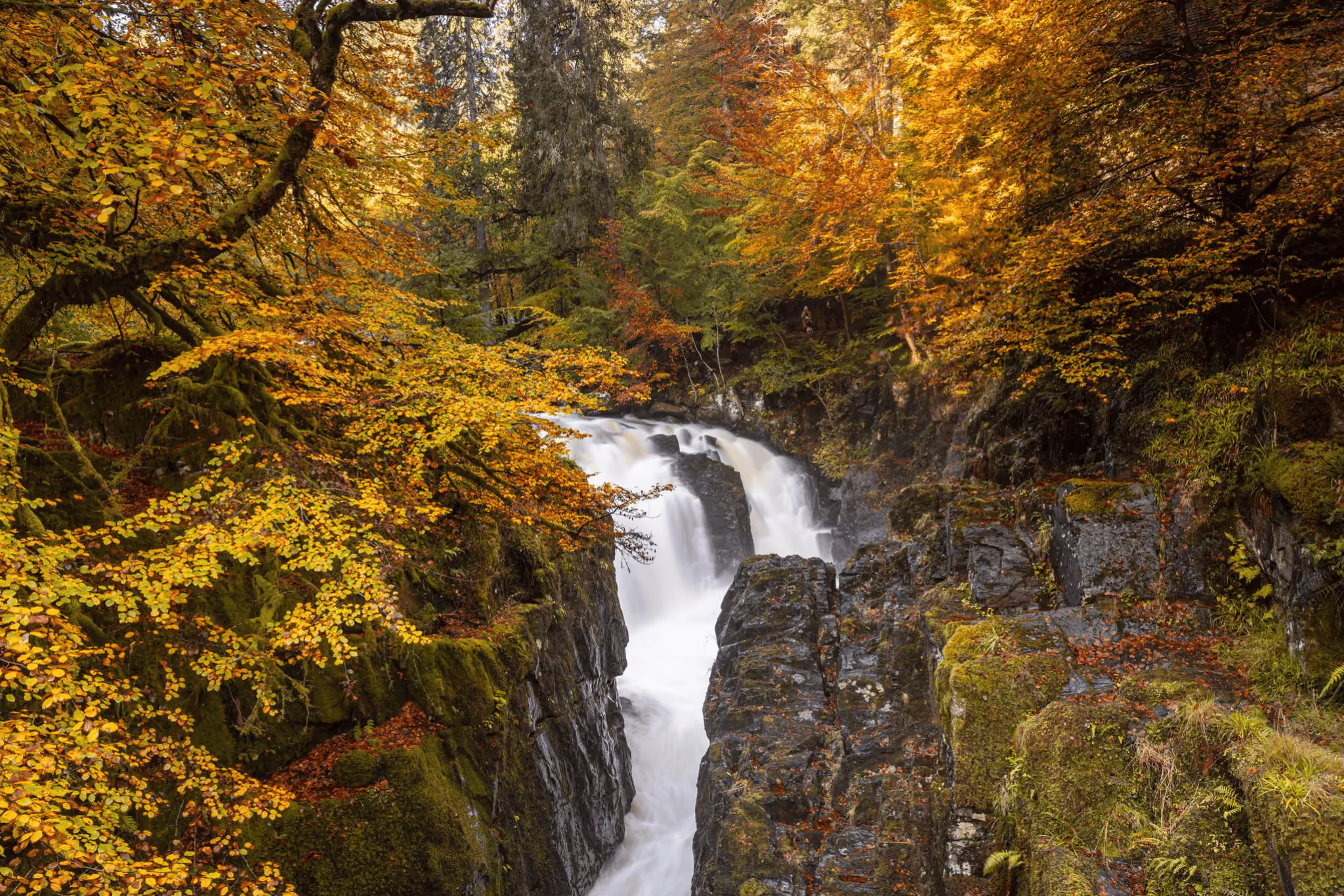 Highland Lochs, Waterfalls & Castles Adventure