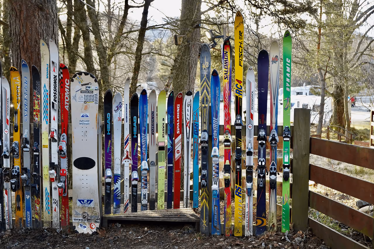 A quirky fence made from dozens of colourful retired skis of various brands standing upright beside a woodland path in Aviemore