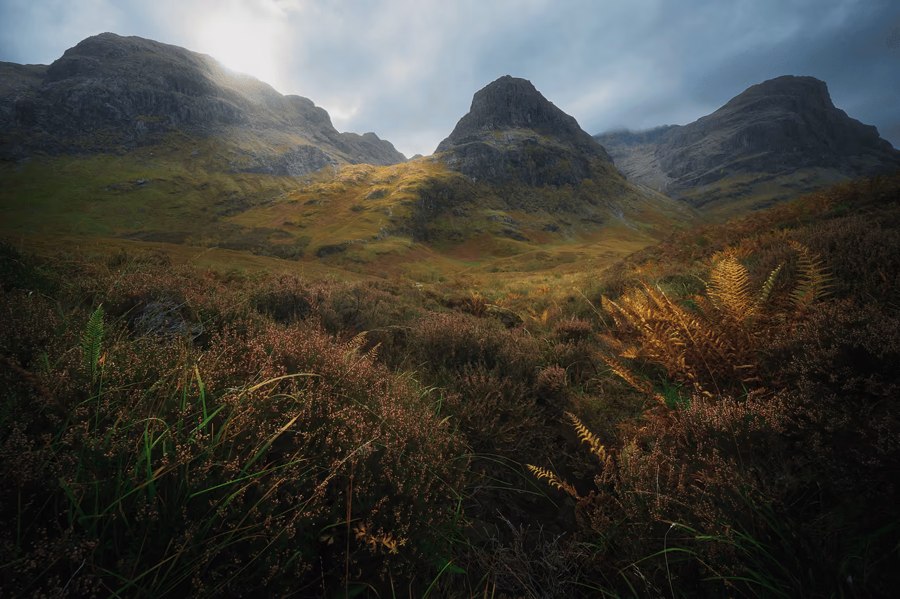 The Three Sisters viewed through a foreground of golden autumn heather and ferns with dramatic moody light breaking through storm clouds