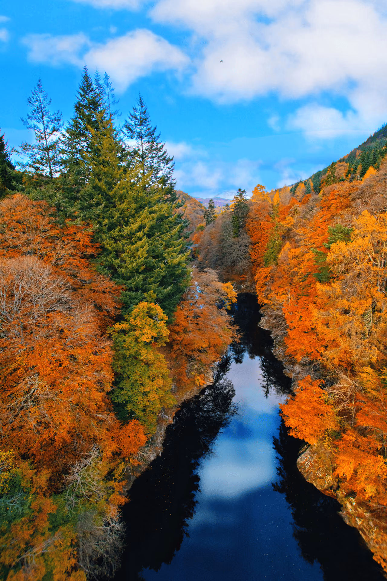 The Pass of Killiecrankie gorge in peak autumn colour with blazing orange and gold trees reflected in the dark river below