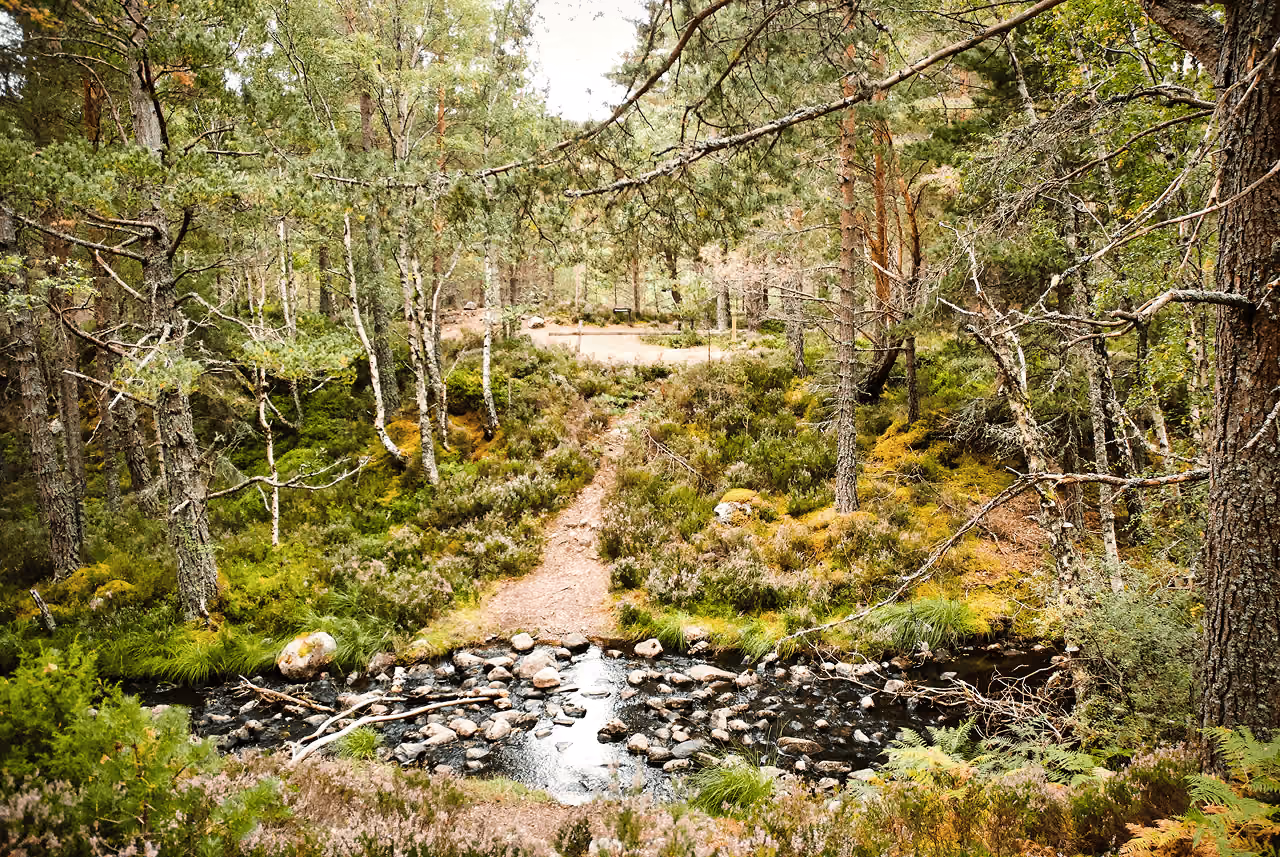 The Cairngorms: Wild Majesty in the Heart of the Highlands