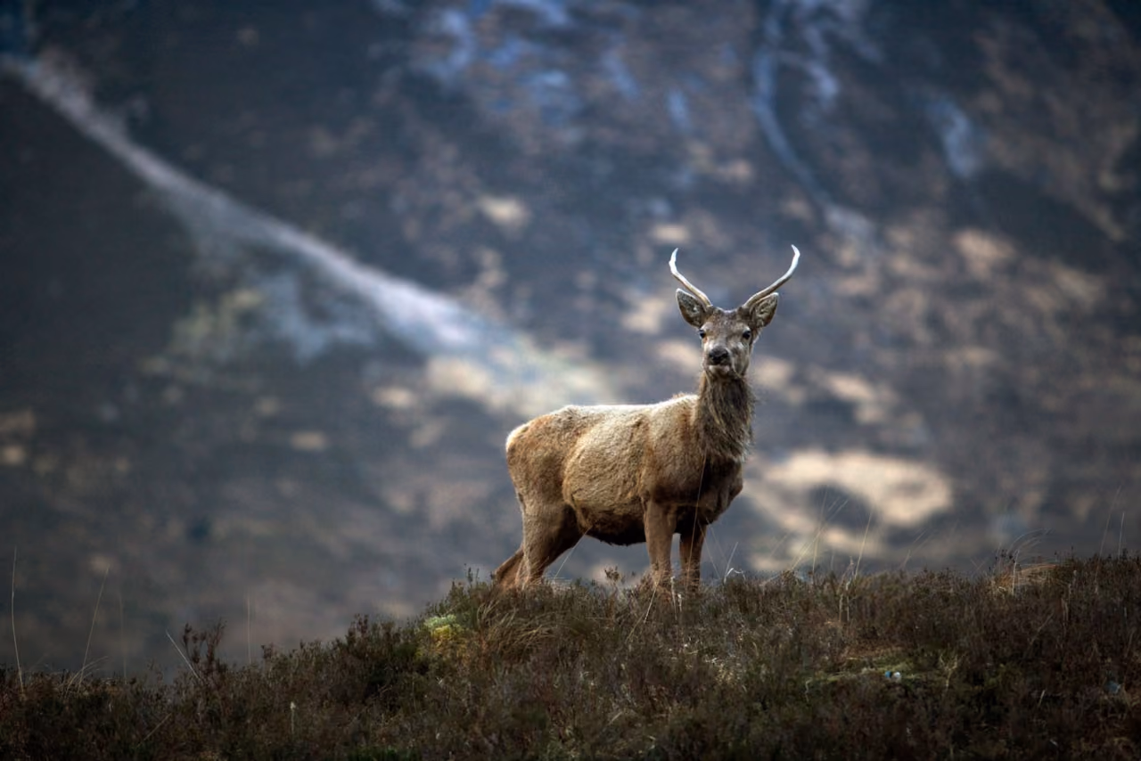 3-Day Highlands and Loch Ness Adventure