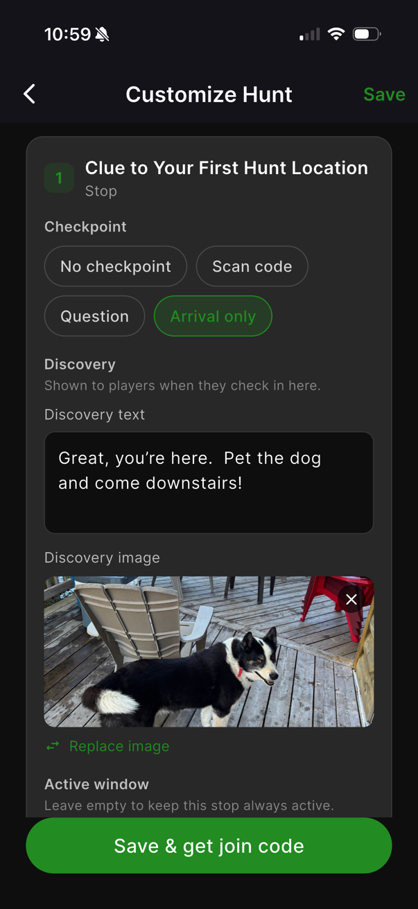Black and white dog with red collar on wooden deck near chairs and red seat.