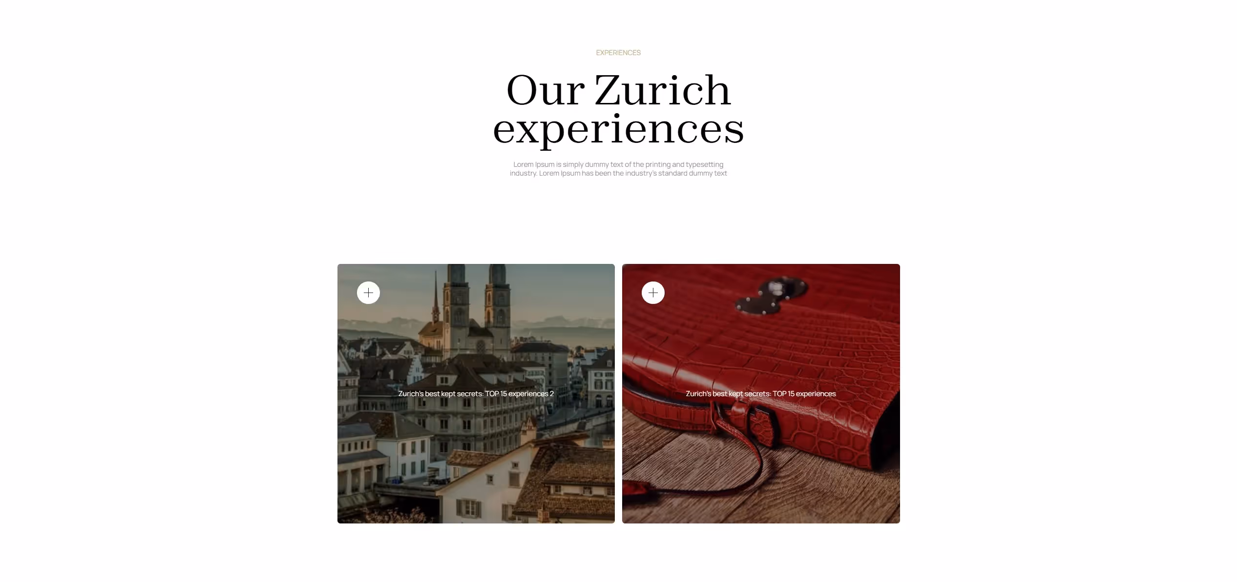 Zurich Champions figma to webflow project image