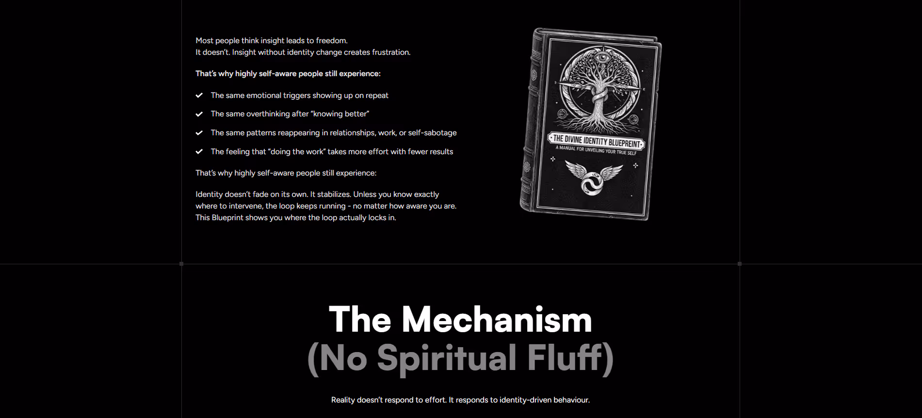 The Divine Identity Blueprint figma to webflow project image