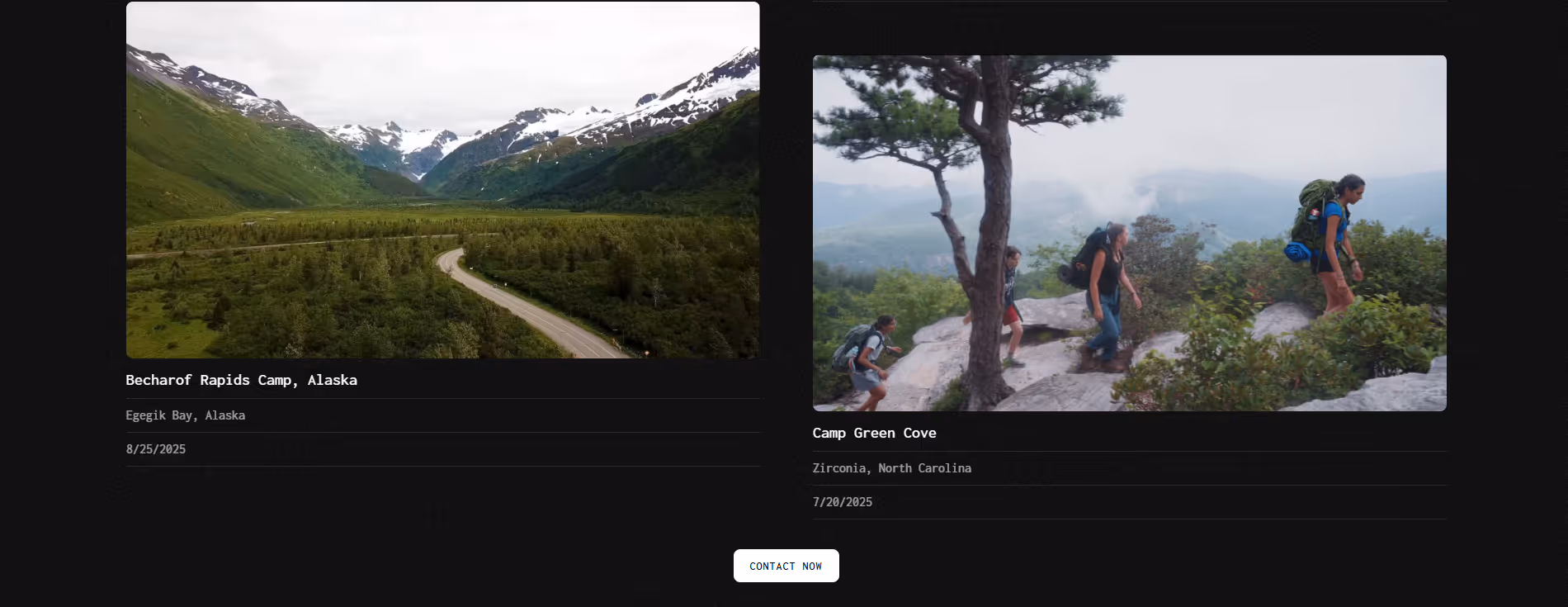 McGrath Films webflow template customization project