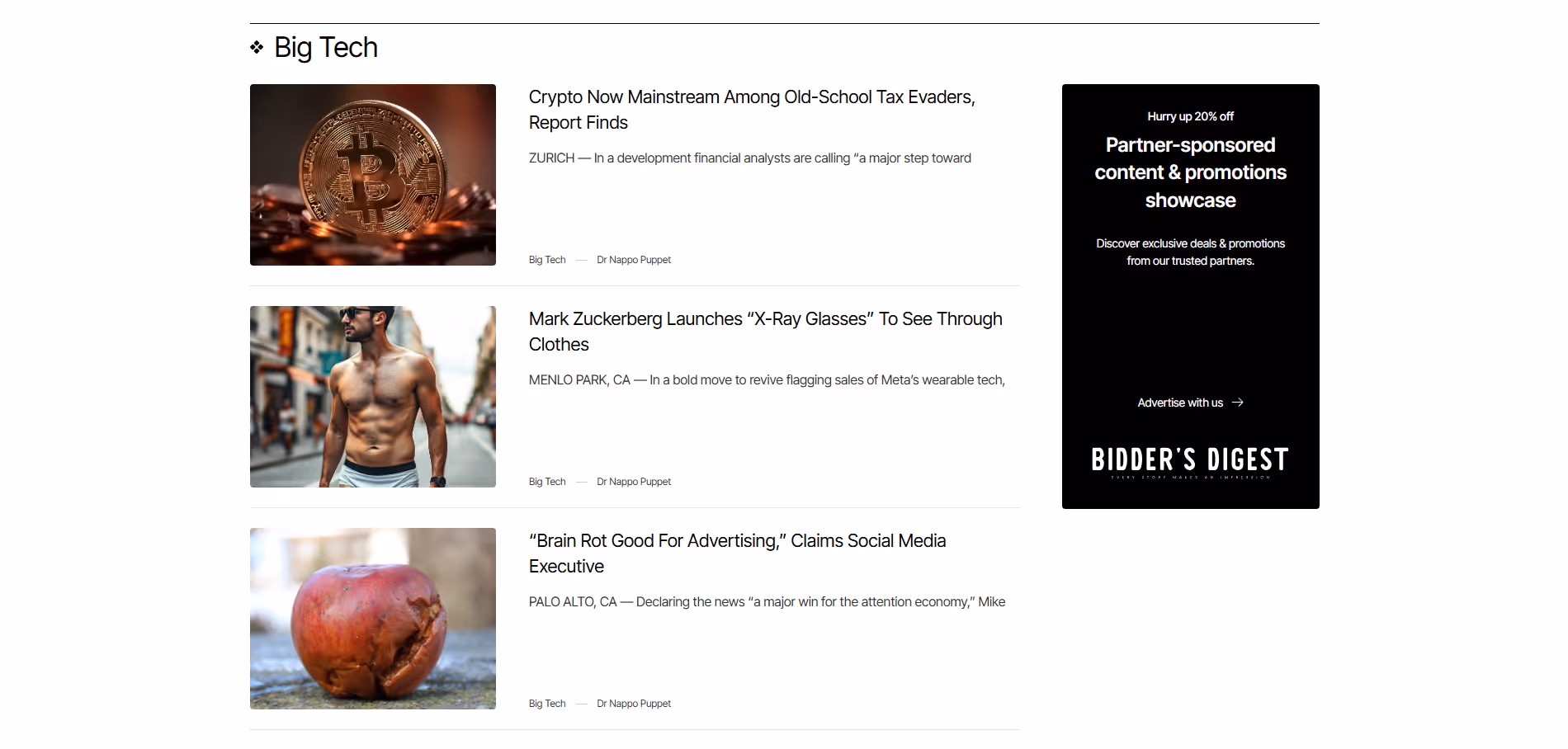 Bidder’s Digest project image [webflow template customization]