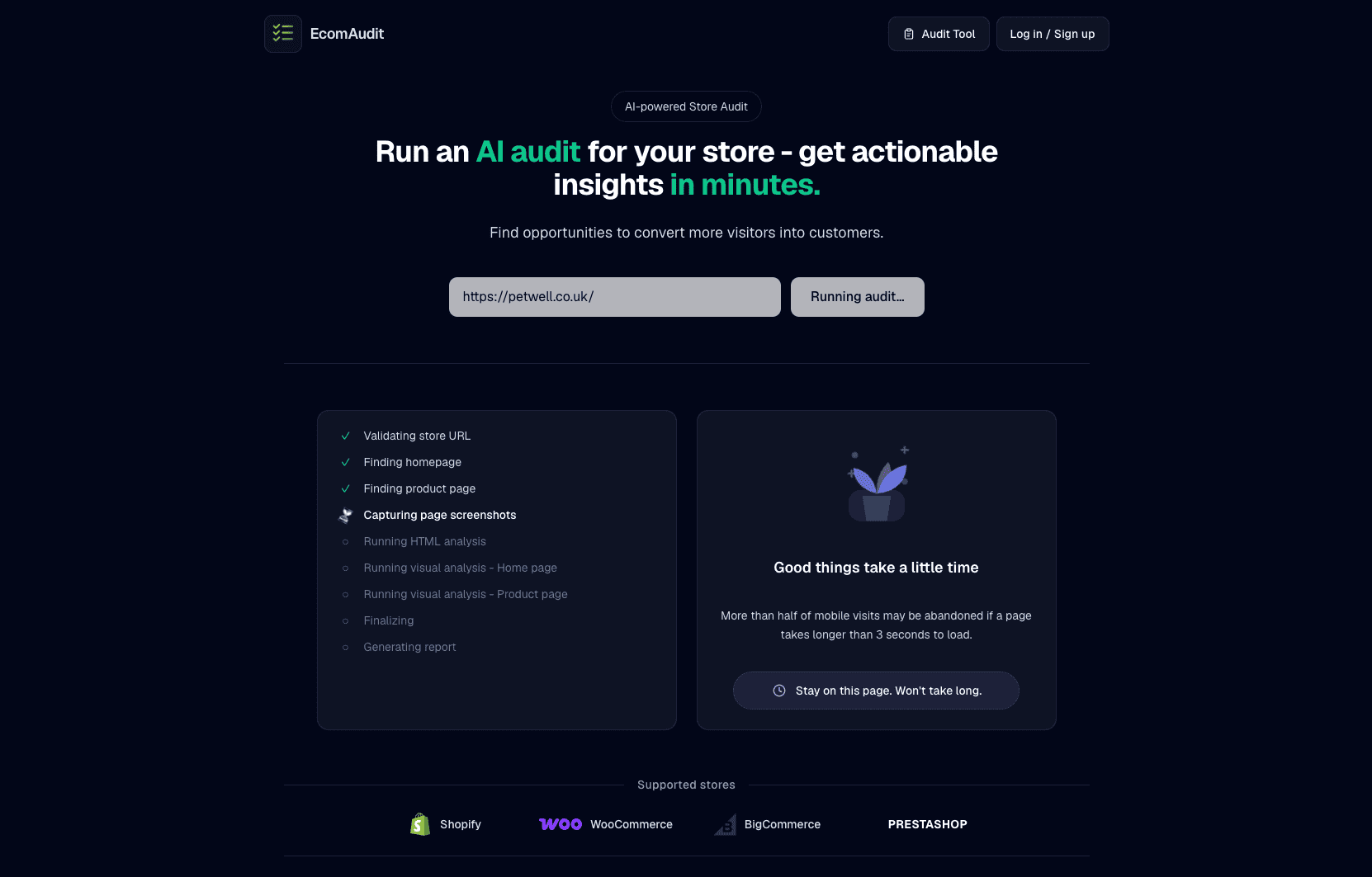 EcomAudit store audit overview placeholder