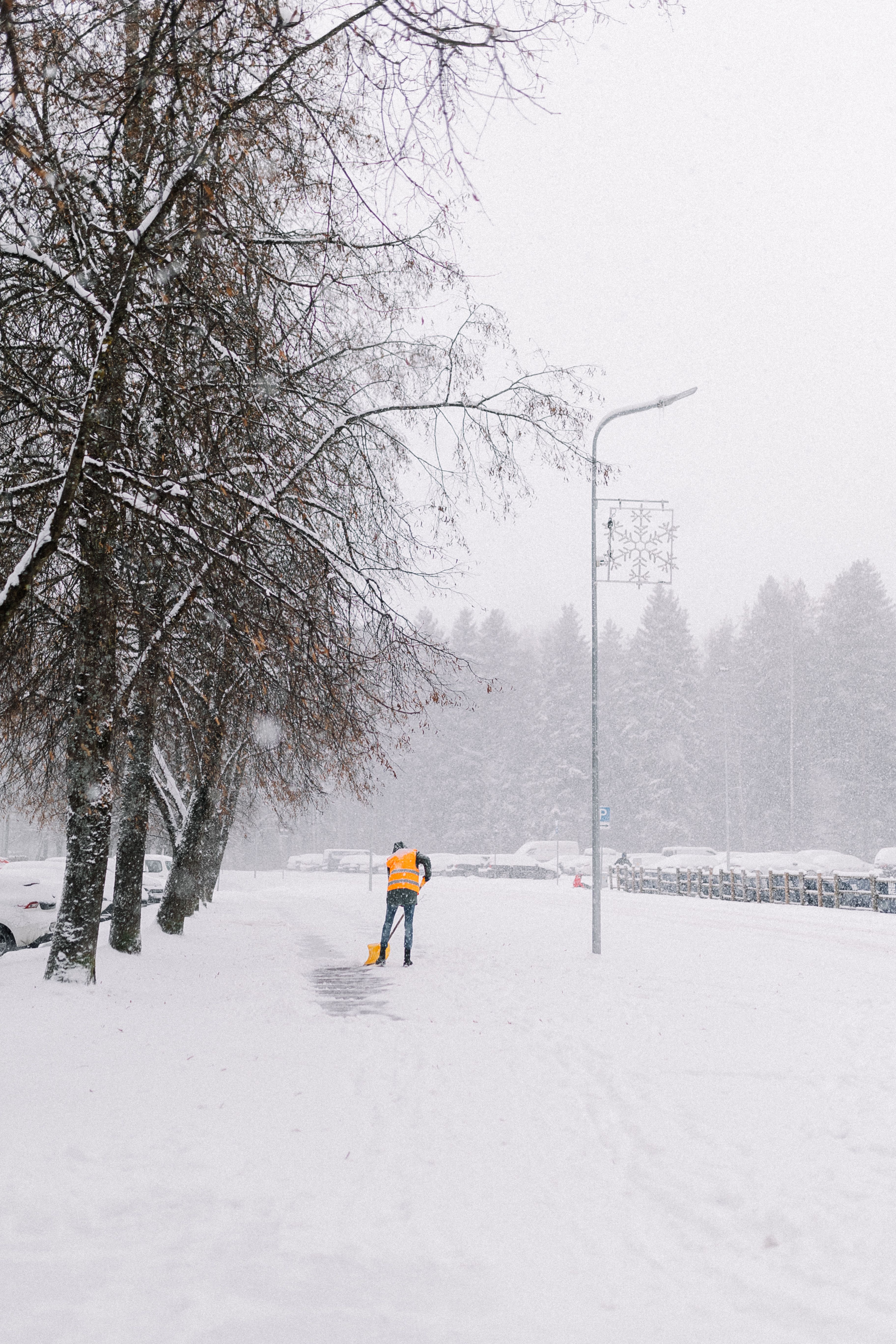 Person in orange vest shoveling snow on a snowy sidewalk lined with trees and parked cars.