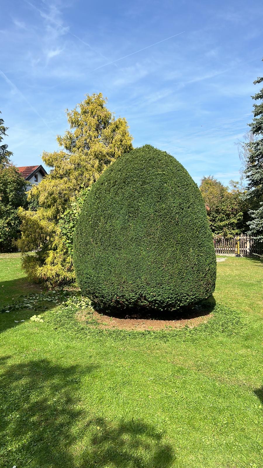 Pflege von Außenanlagen und Grünflächen durch HausHelden Bodensee
