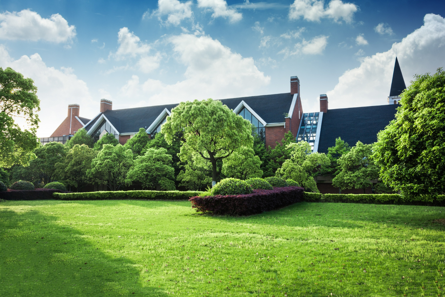 Gartenpflege und Gartenservice Lindau und gesamten Bodensee