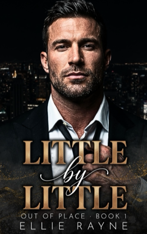 Little by Little book cover