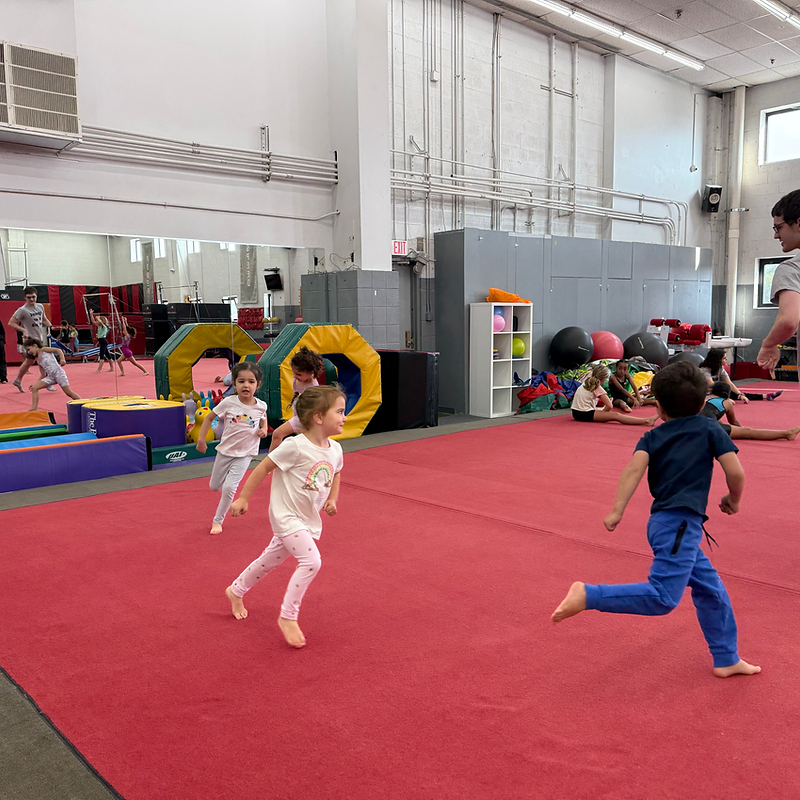 Young children in a preschool gymnastics class