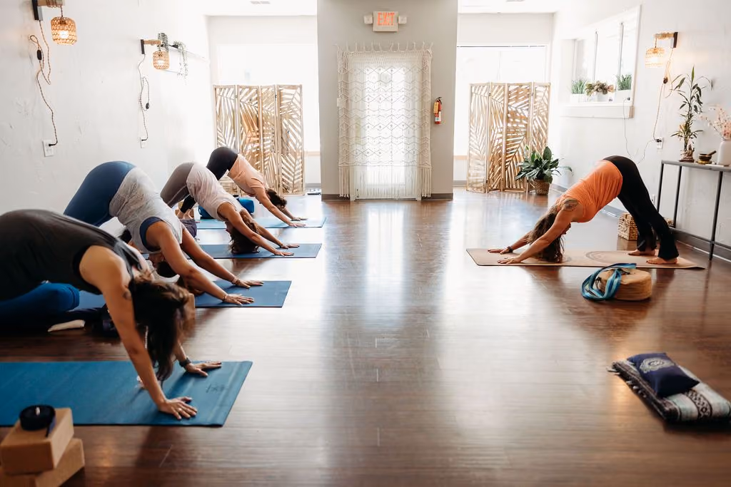 Students in a yoga class doing downward facing dog